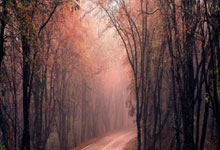 拿坡里战胜努力，豪取胜果追赶对手