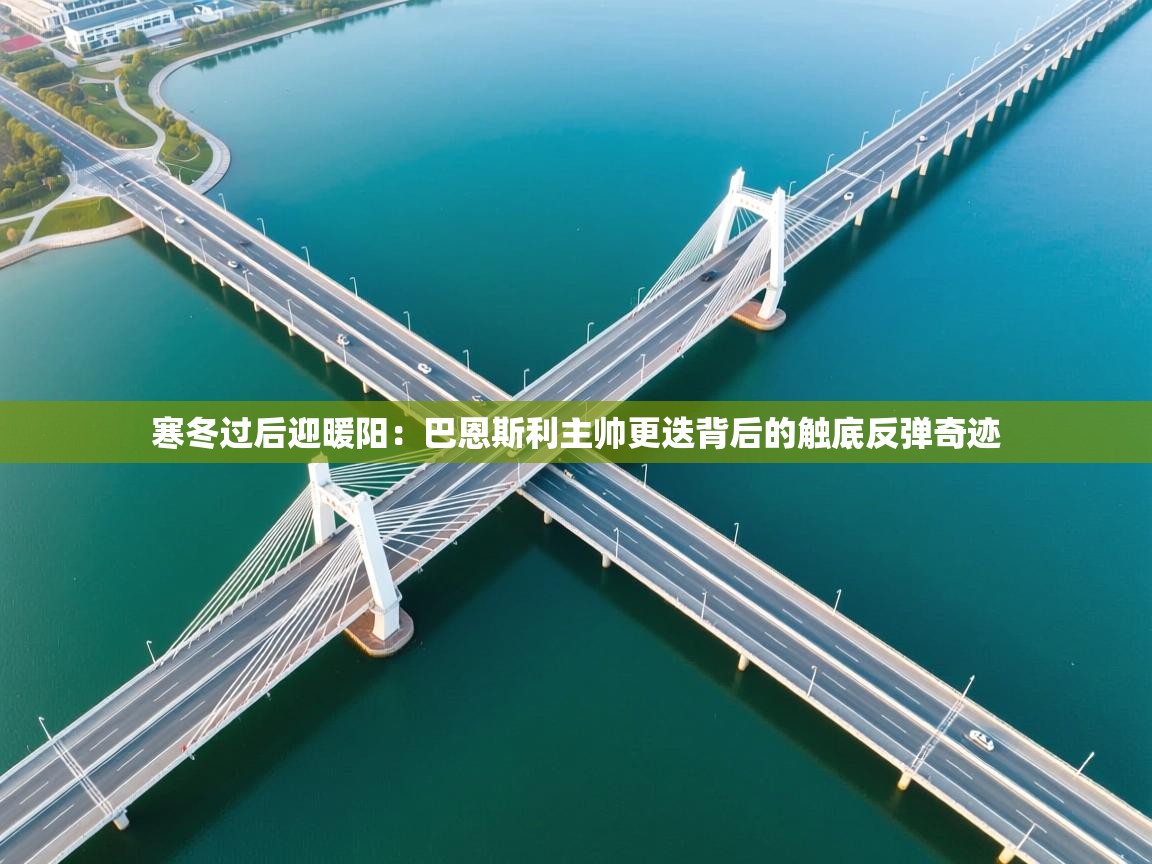 寒冬过后迎暖阳：巴恩斯利主帅更迭背后的触底反弹奇迹  第2张